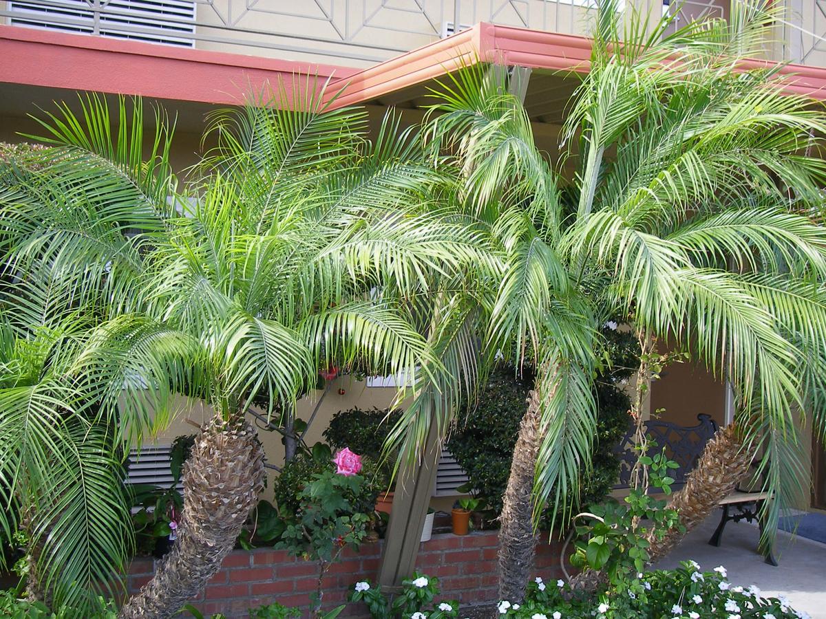 Fullerton Lodge Екстер'єр фото